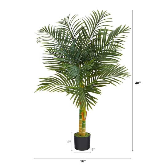 4ft. Potted Golden Cane Palm Tree